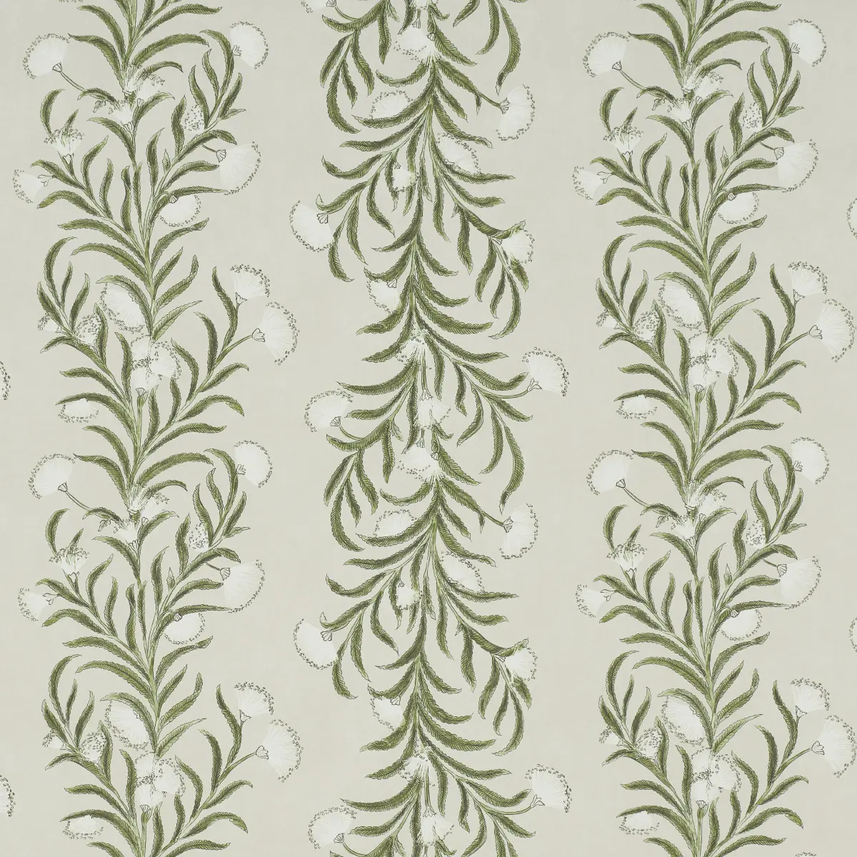 TASMANIAN MIMOSA_ IVORY & GREEN