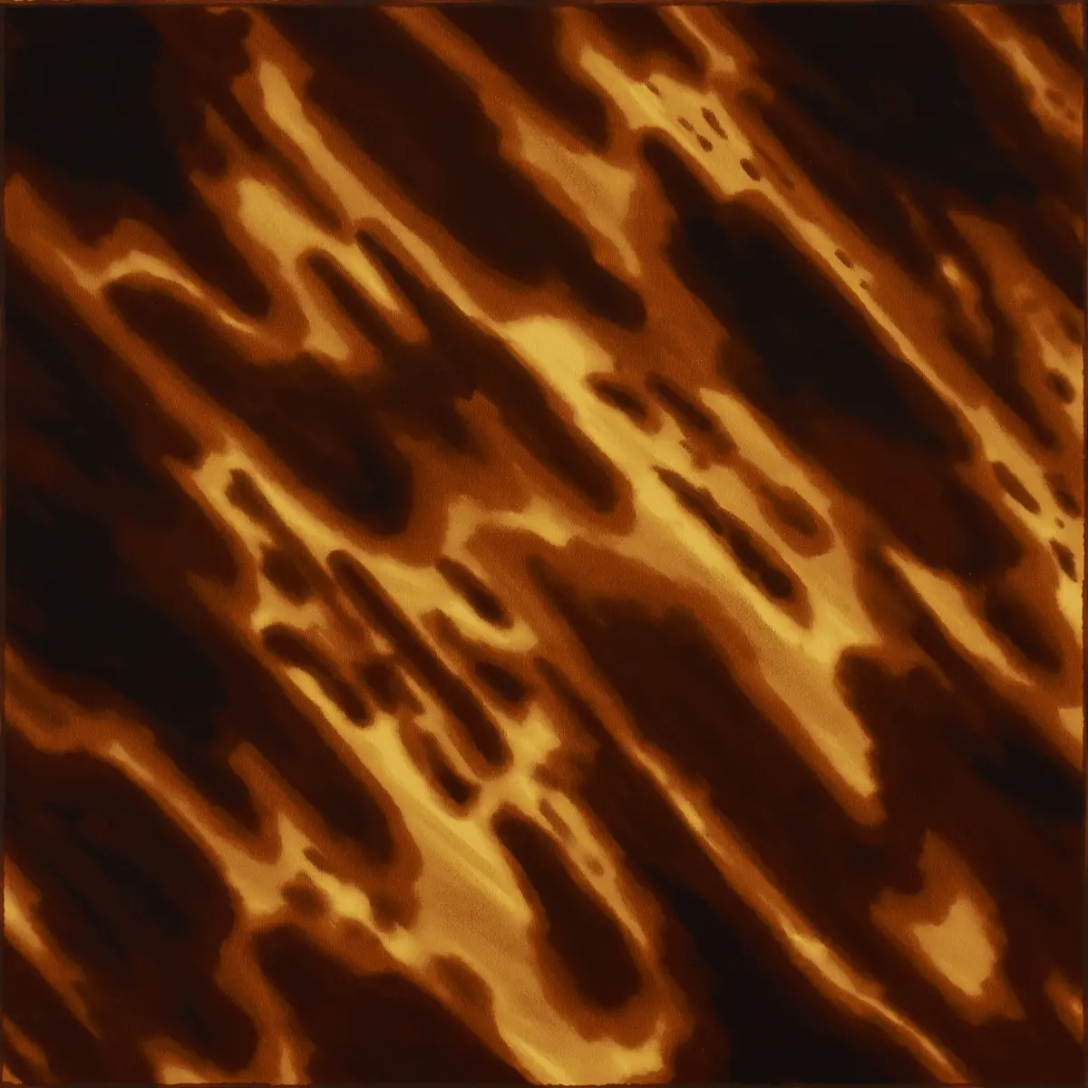 TORTOISE SHELL_ NATURAL