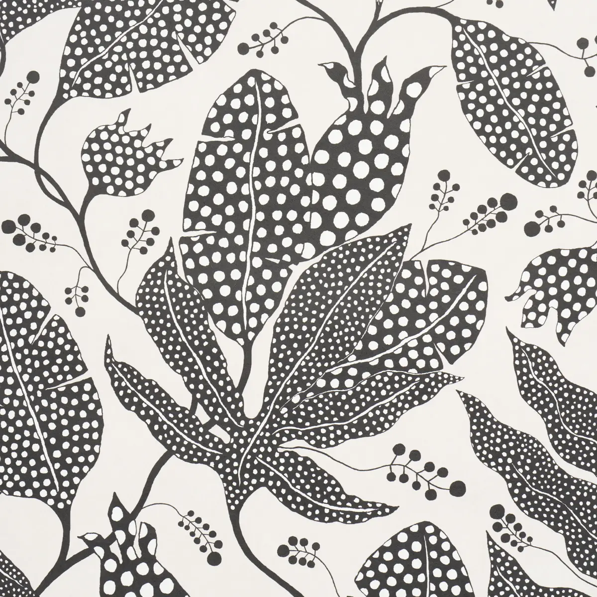 POLKA DOT JUNGLE_ BLACK & CREAM