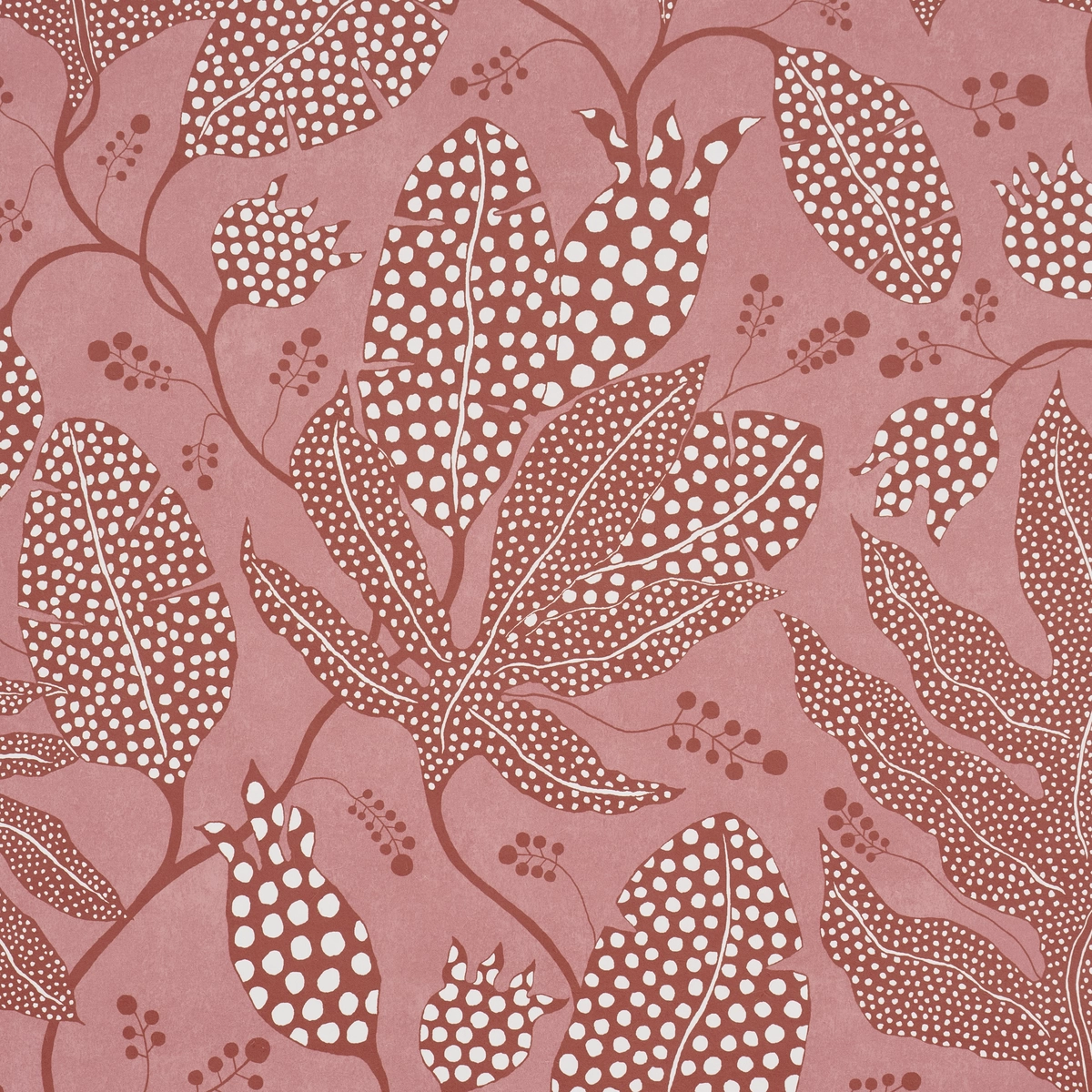 Polka Dot Jungle_ RASPBERRY