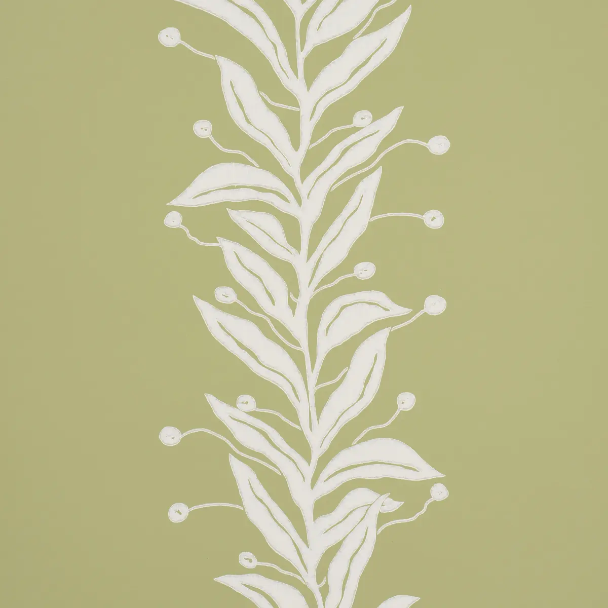 TENDRIL STRIPE_ OLIVE
