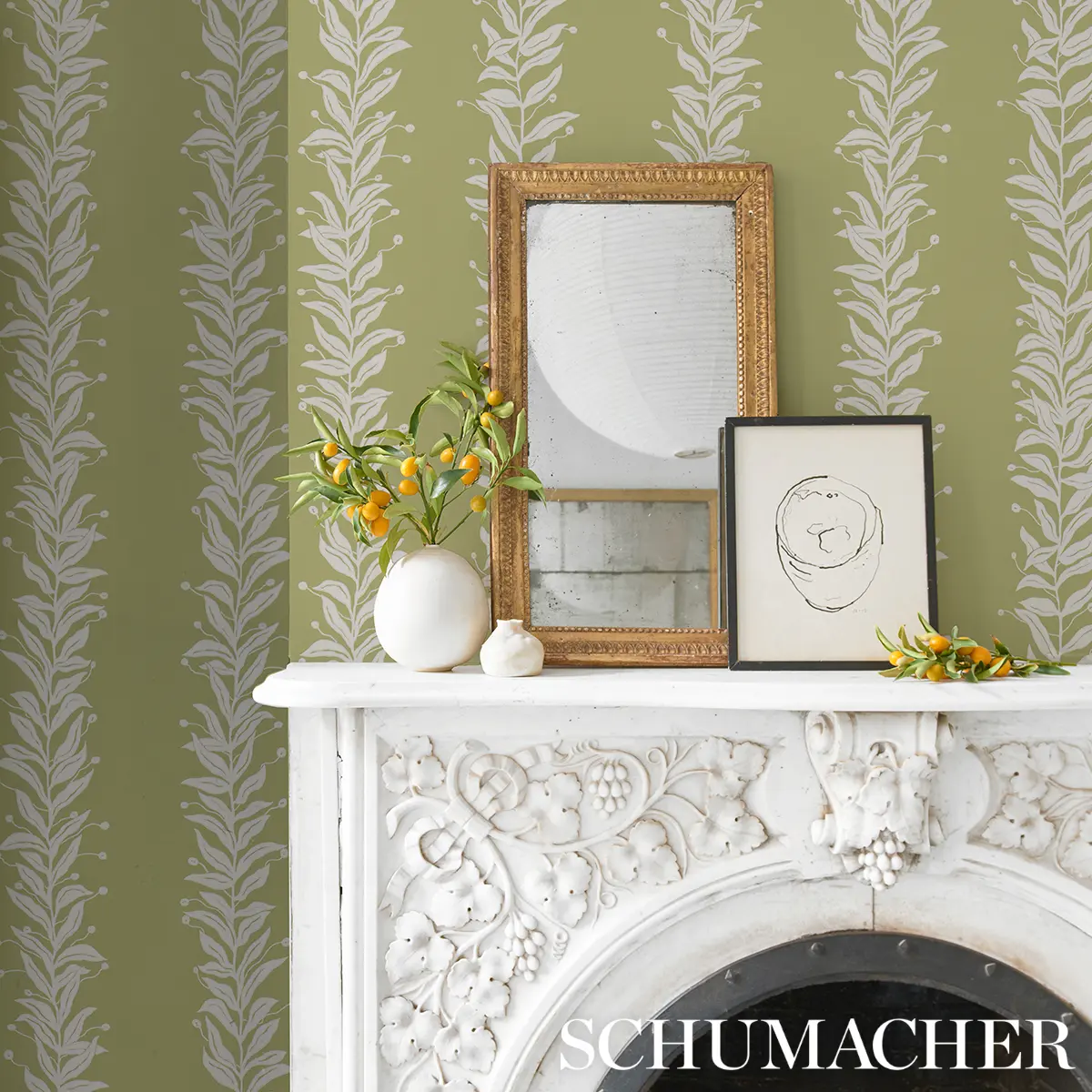 TENDRIL STRIPE_ OLIVE