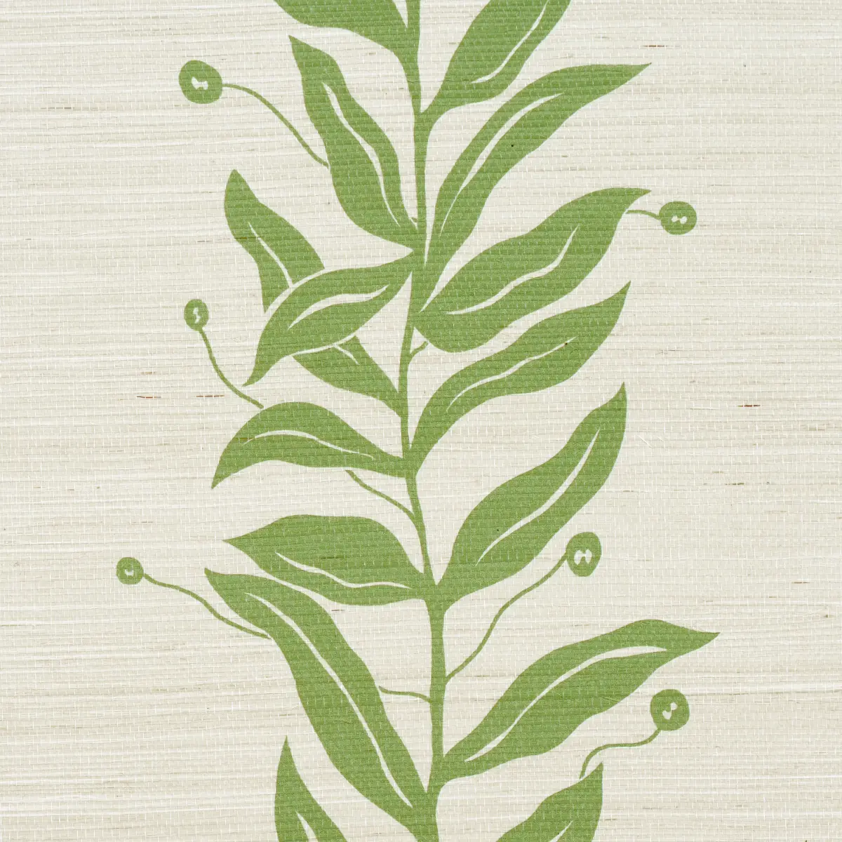 TENDRIL STRIPE SISAL_ OLIVE