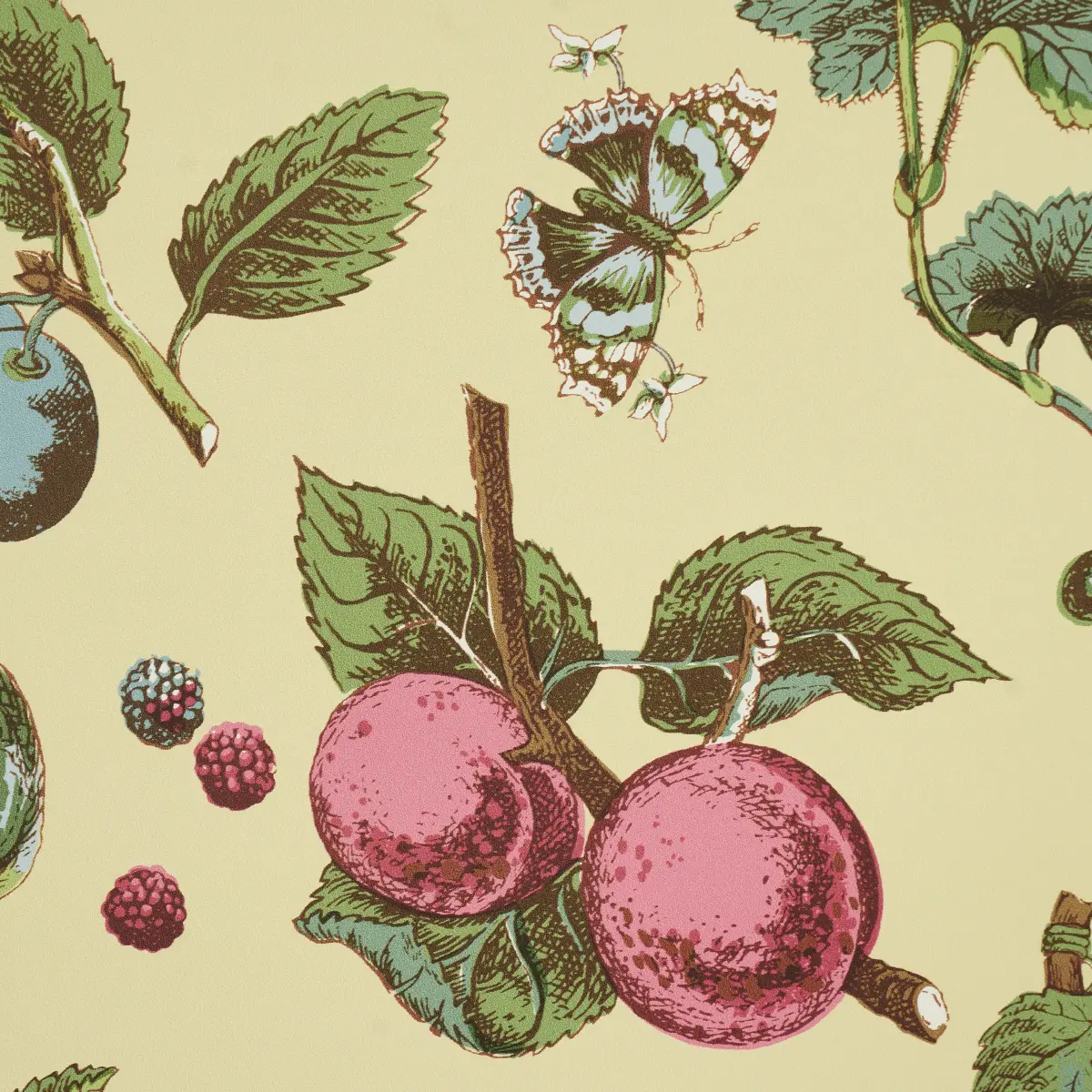 BERRY GROVE_ BUTTER
