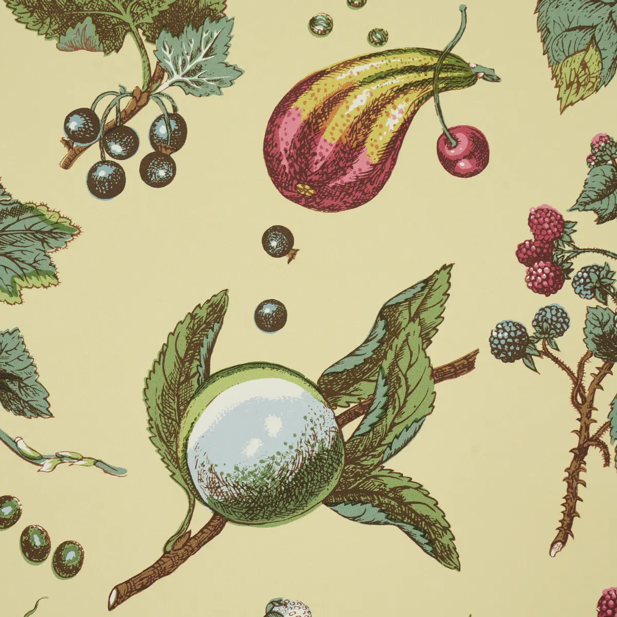 BERRY GROVE_ BUTTER