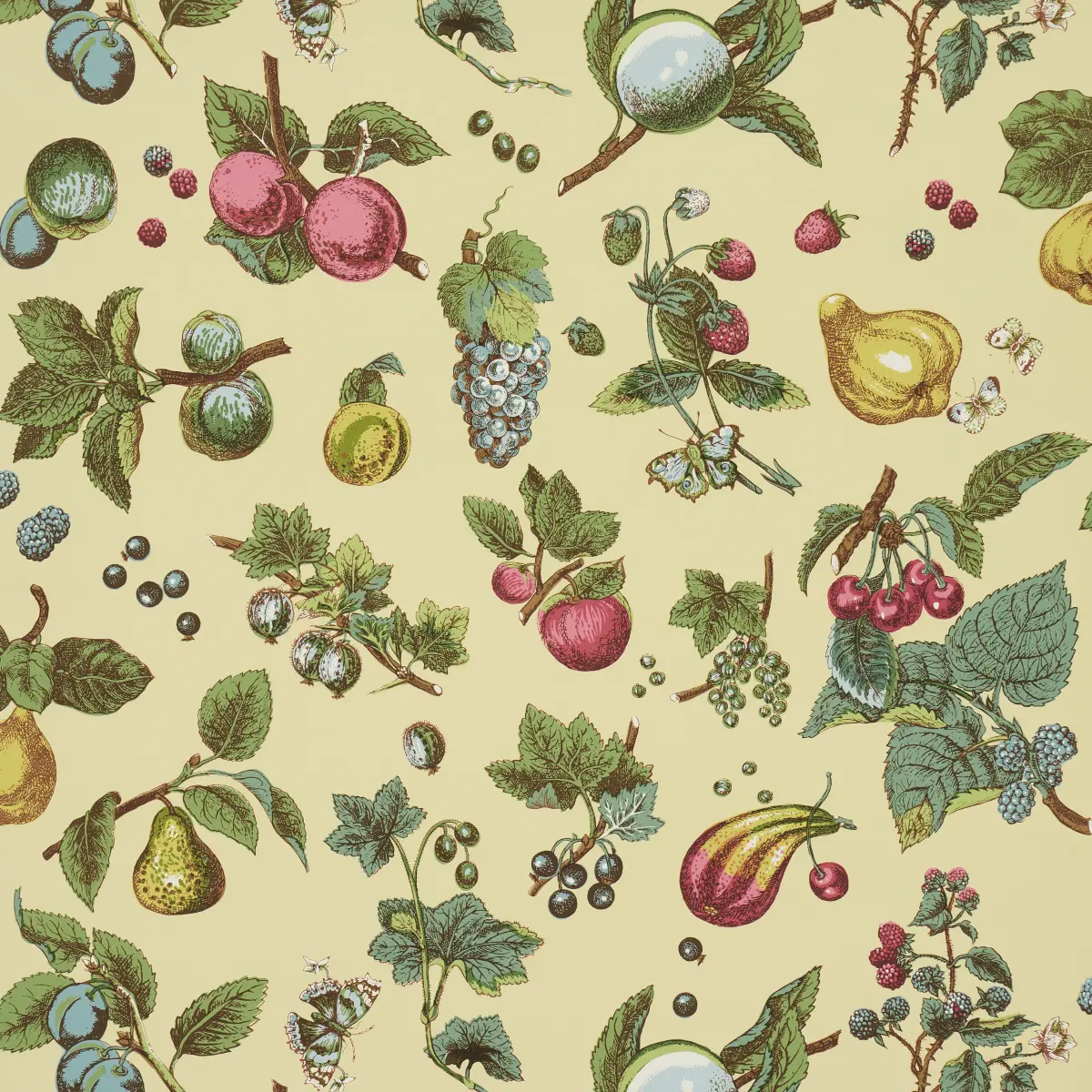 BERRY GROVE_ BUTTER
