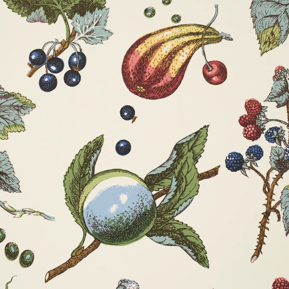 BERRY GROVE_ IVORY
