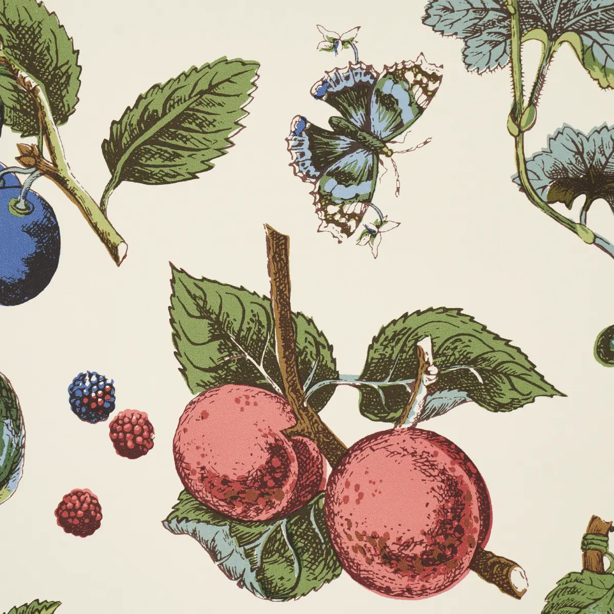 BERRY GROVE_ IVORY