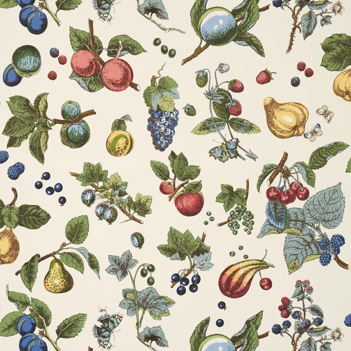 BERRY GROVE_ IVORY