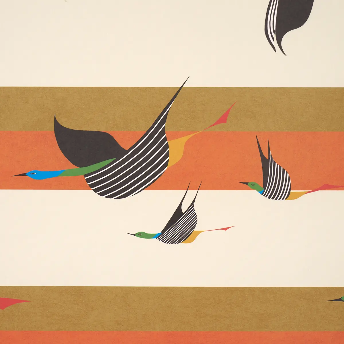 FLYING WEST_ ORANGE