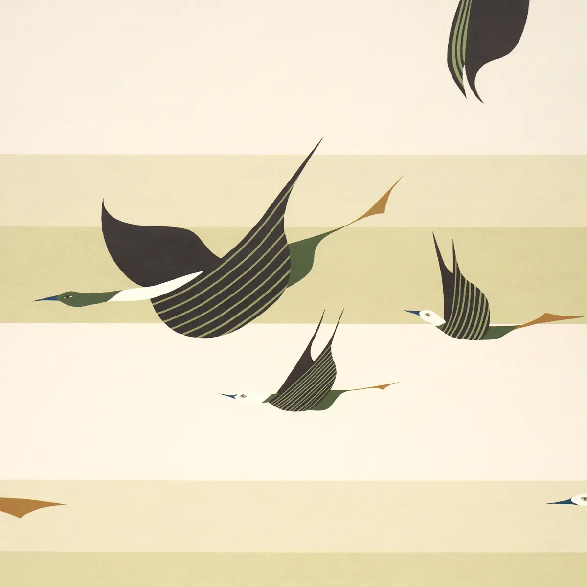 FLYING WEST_ GREEN