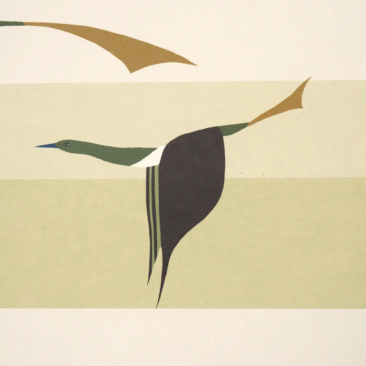 FLYING WEST_ GREEN