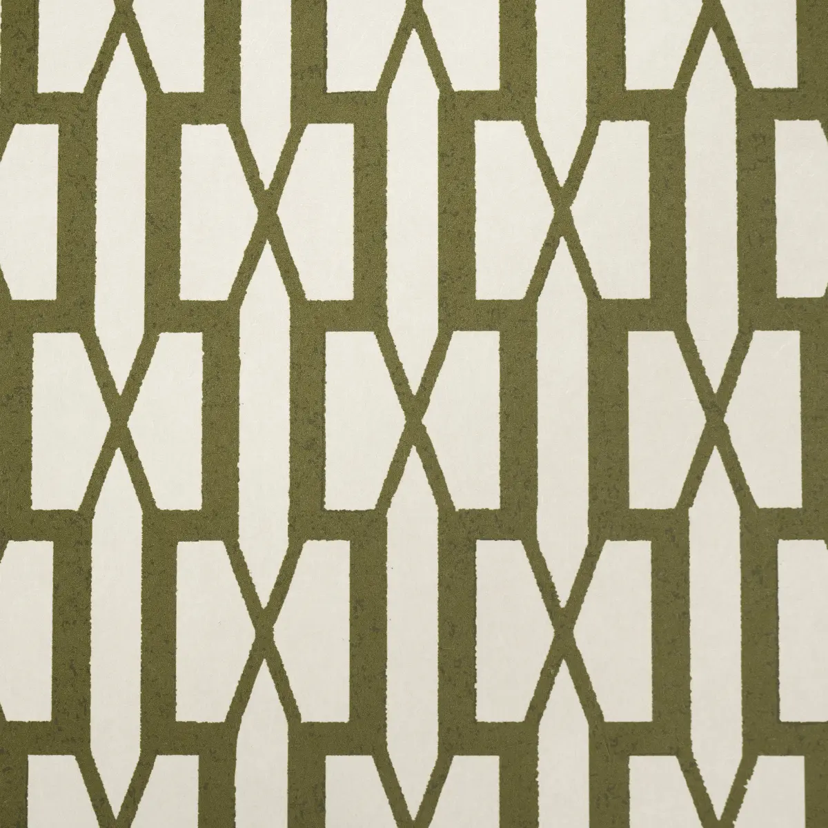 BELVEDERE_ OLIVE