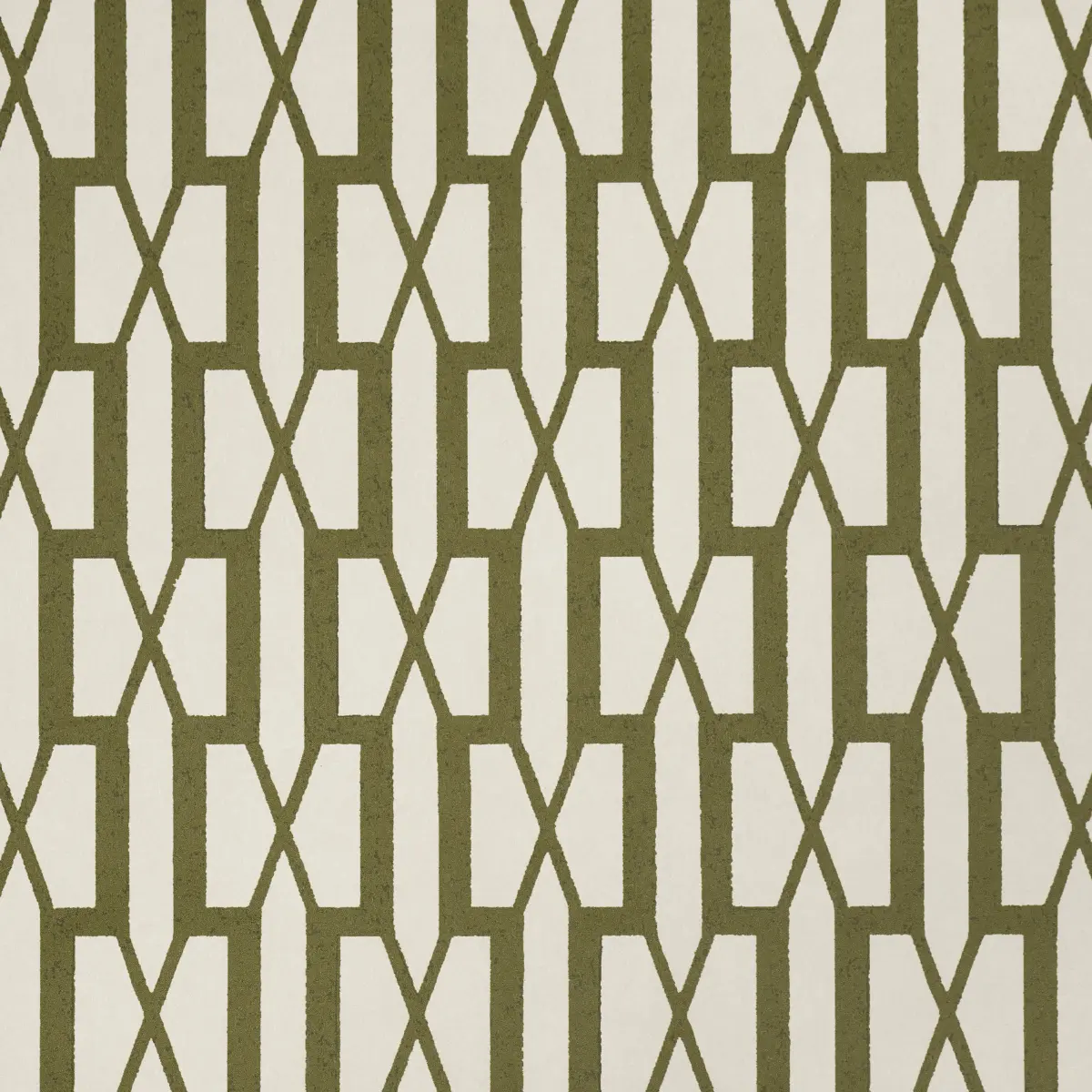 BELVEDERE_ OLIVE