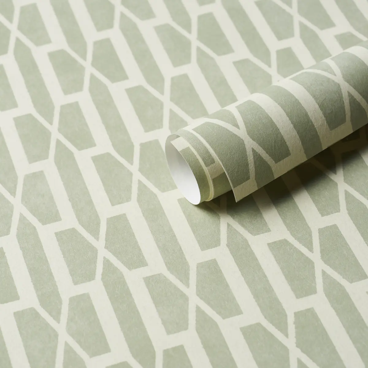 BELVEDERE_ CELADON