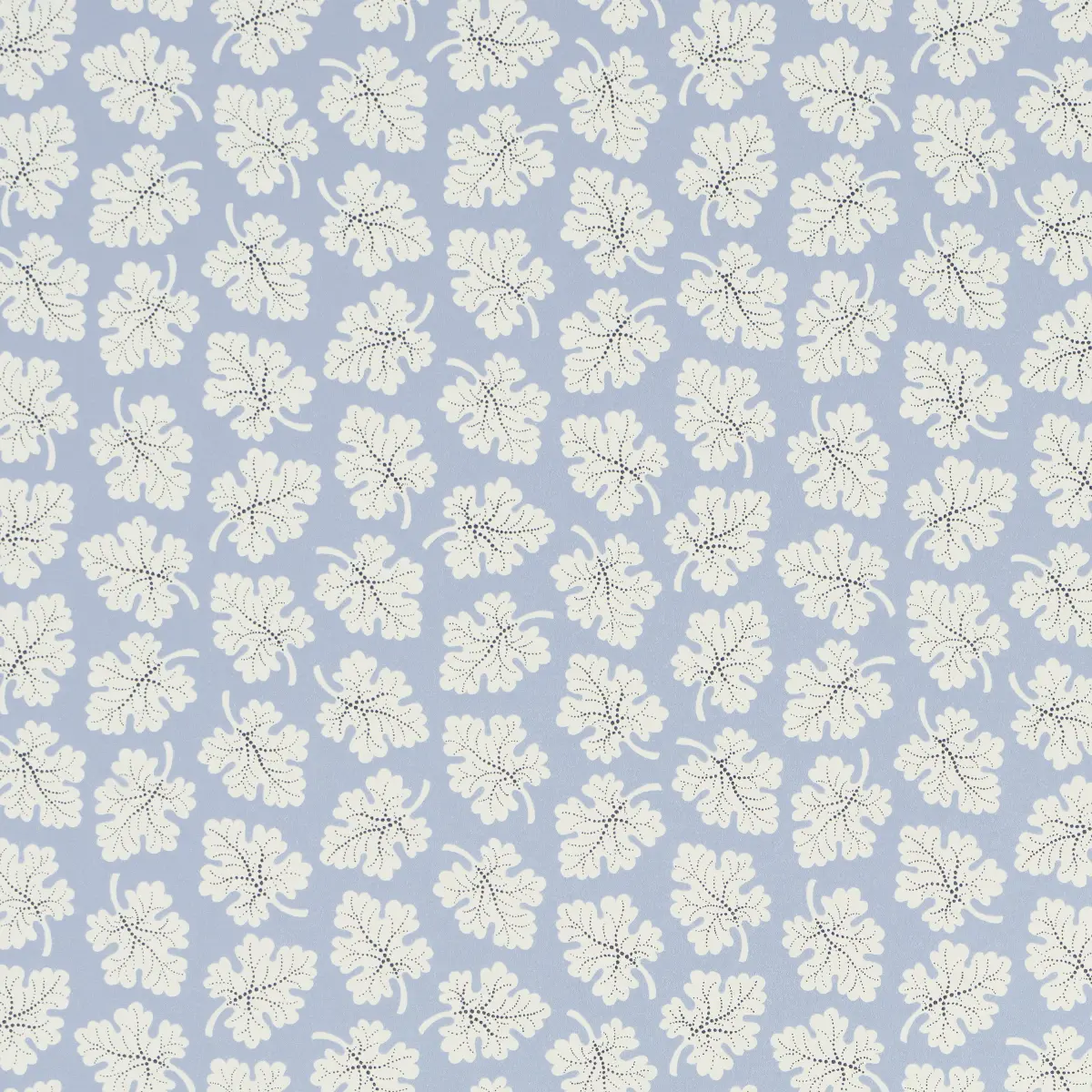 Olive_ SKY