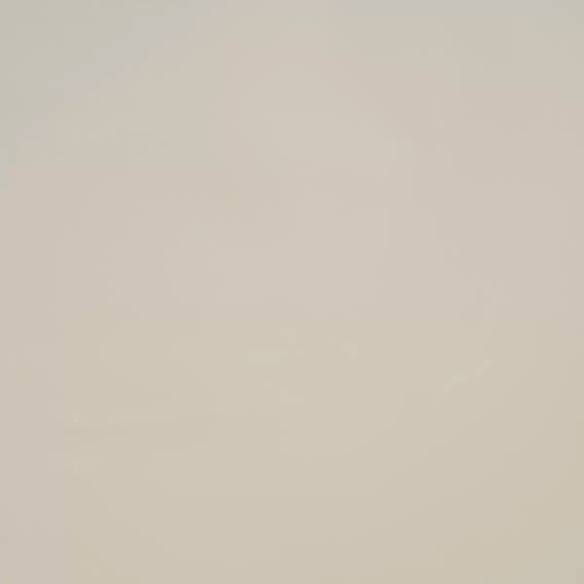 ACE FAUX LACQUER PERFORMANCE VINYL_ IVORY