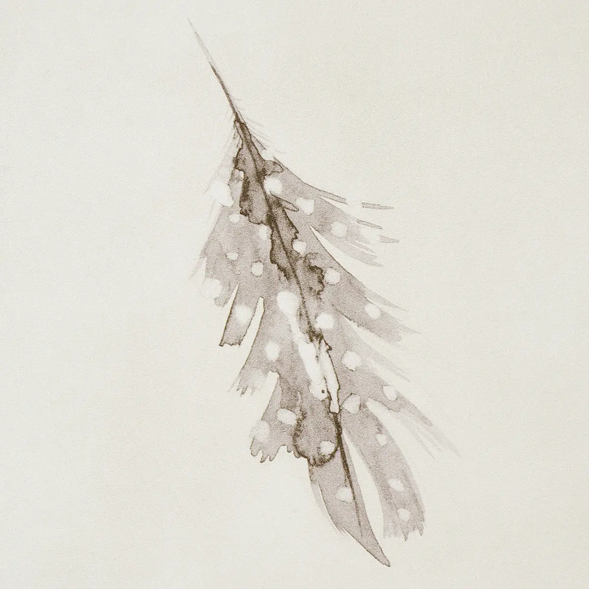 Woodland Feathers_ PEBBLE