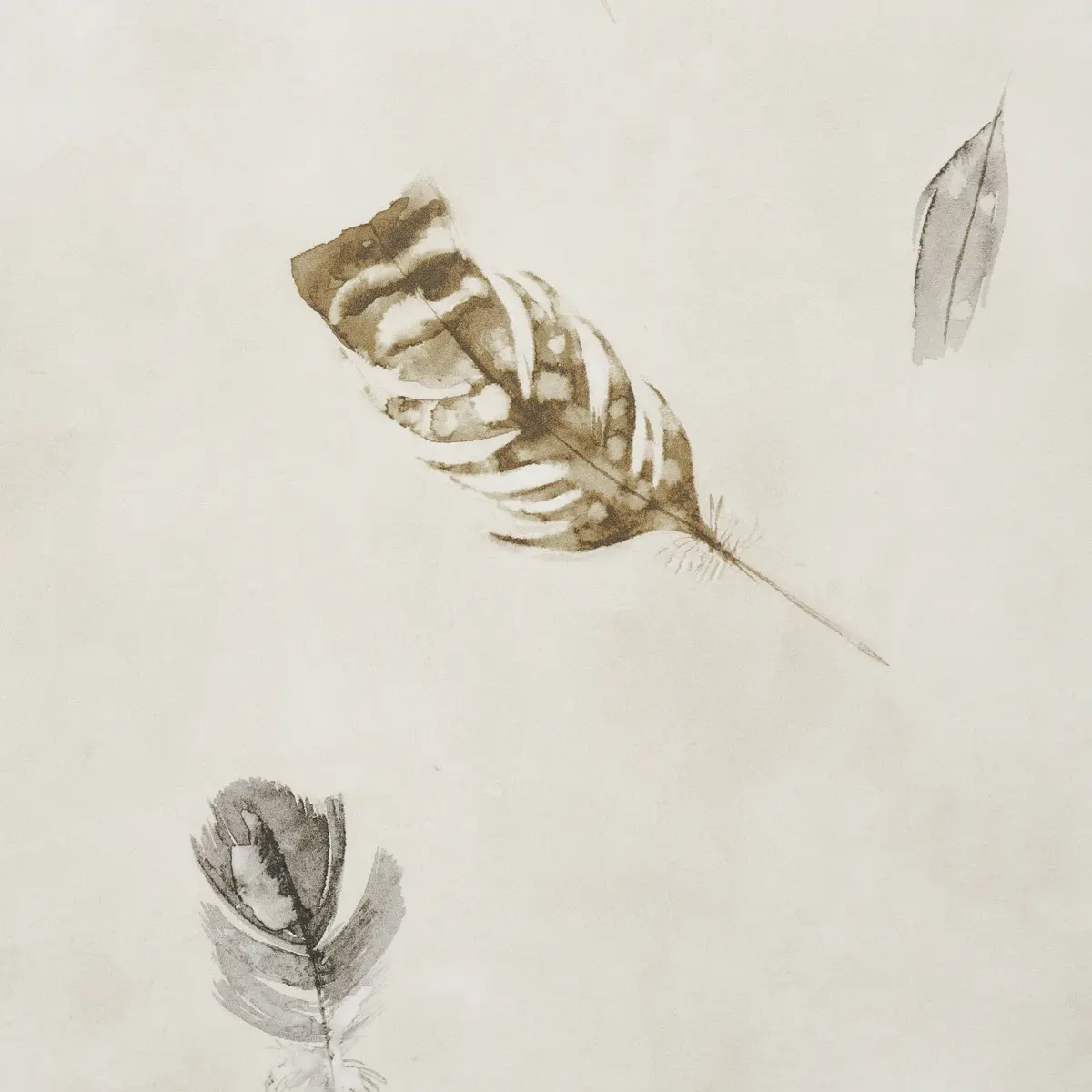 Woodland Feathers_ AUTUMN