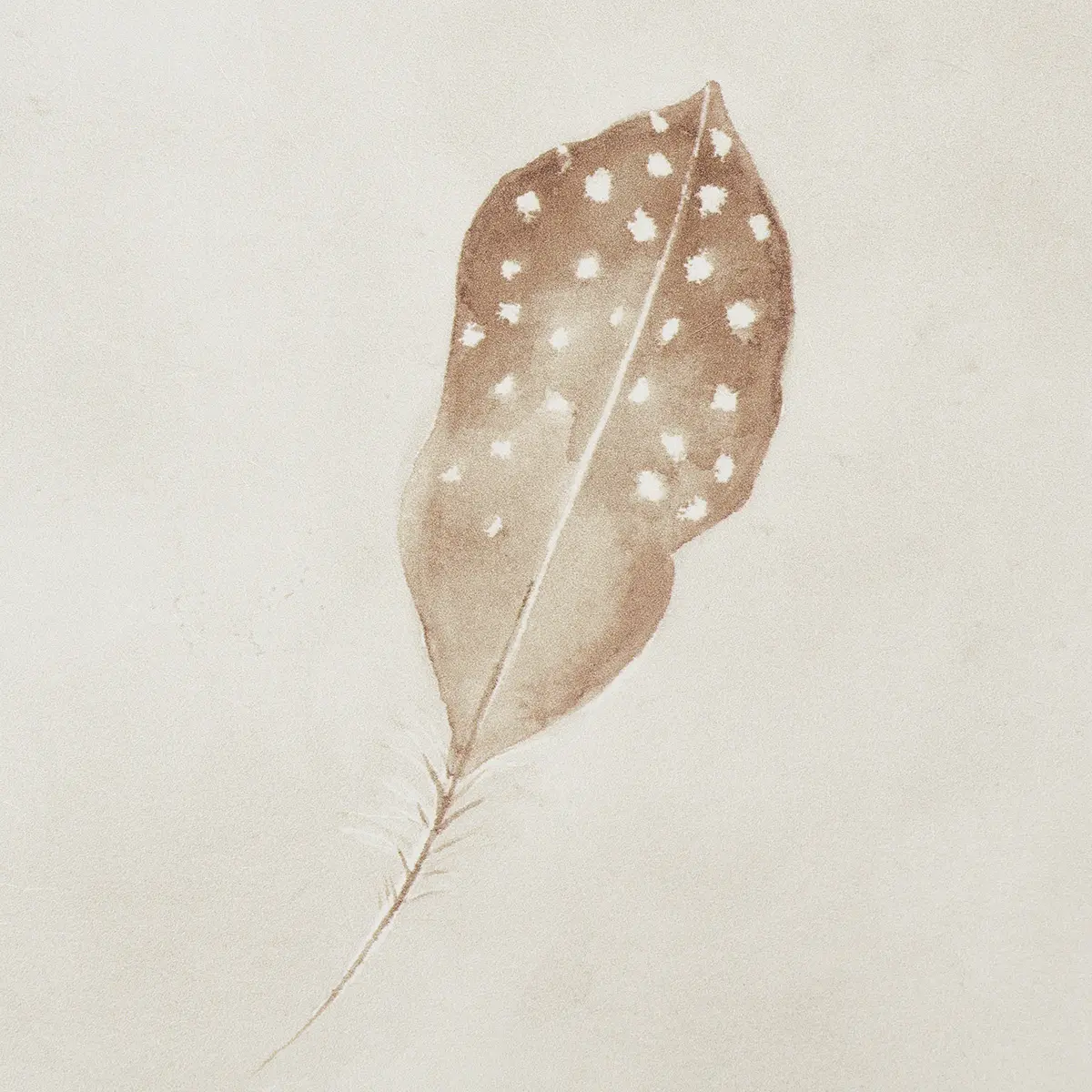 Woodland Feathers_ AUTUMN
