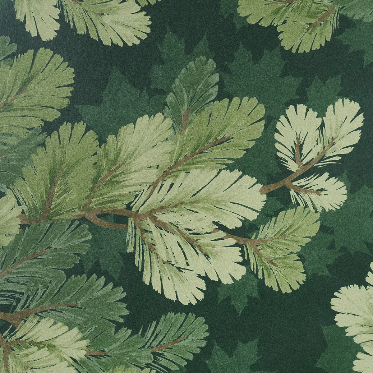 Covey Hedge_ FOREST