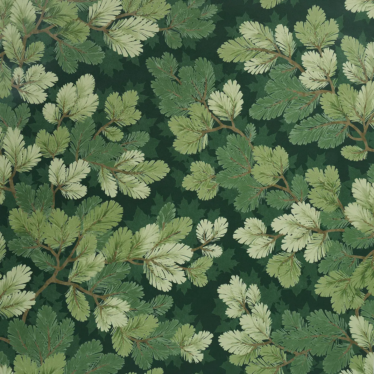 Covey Hedge_ FOREST