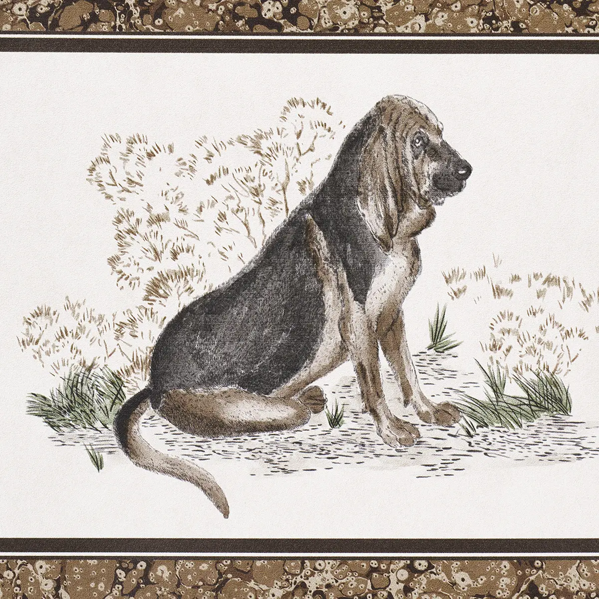 CHASER’S LEGACY_ BARK