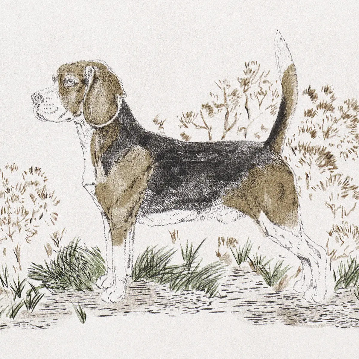 CHASER’S LEGACY_ BARK
