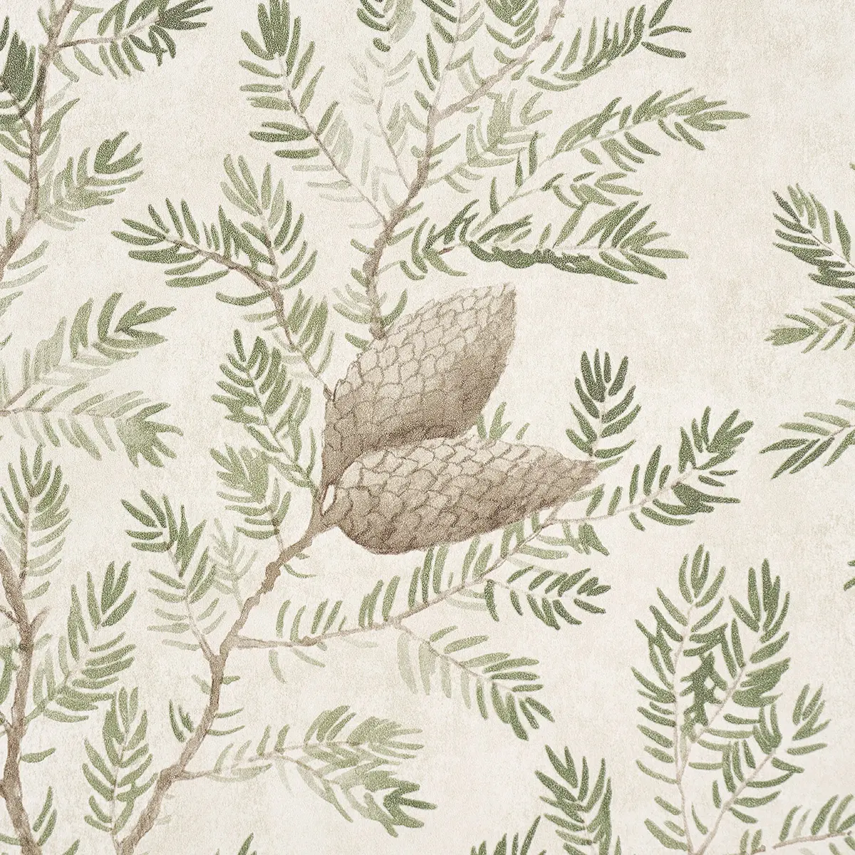 Pinewood_ SPRUCE