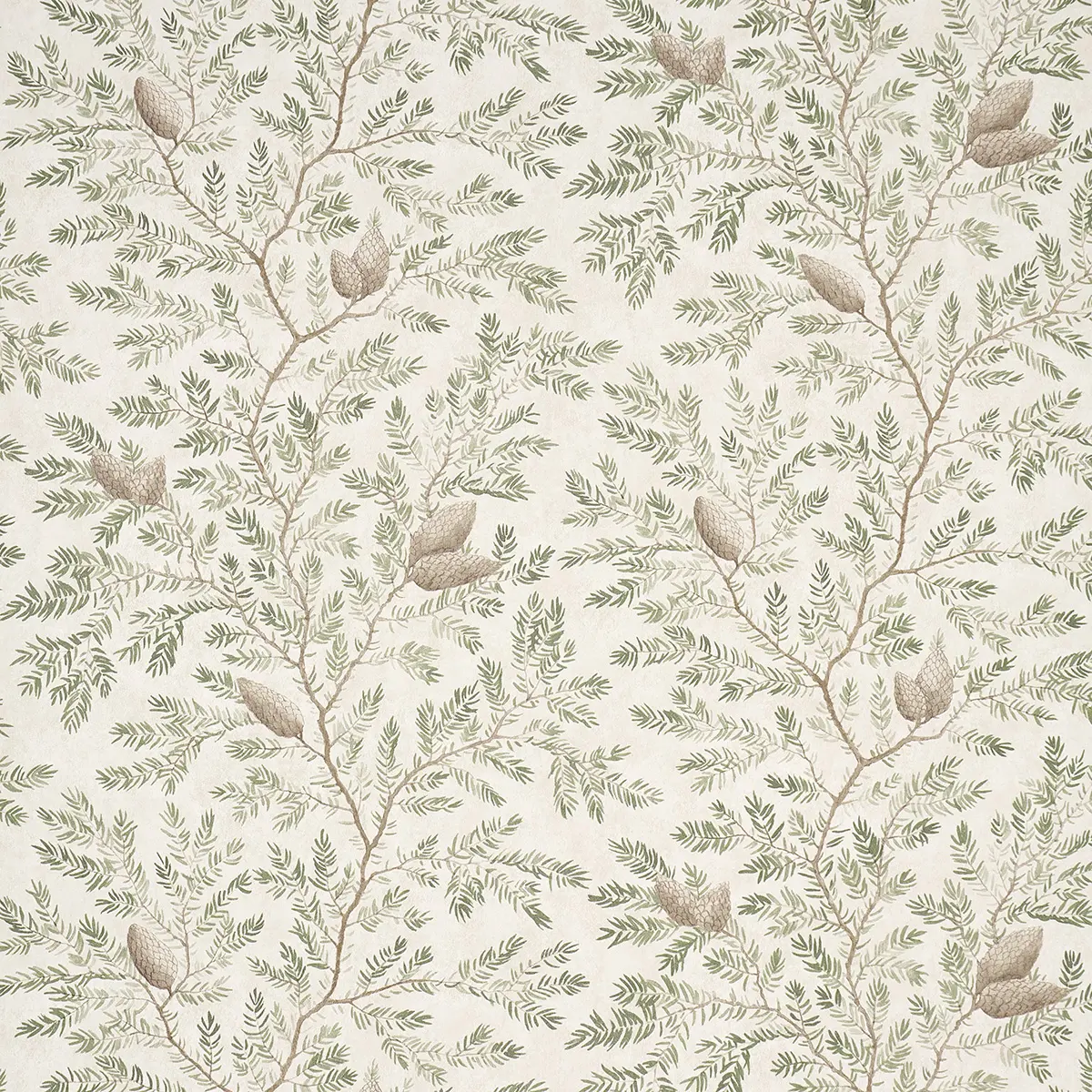 Pinewood_ SPRUCE