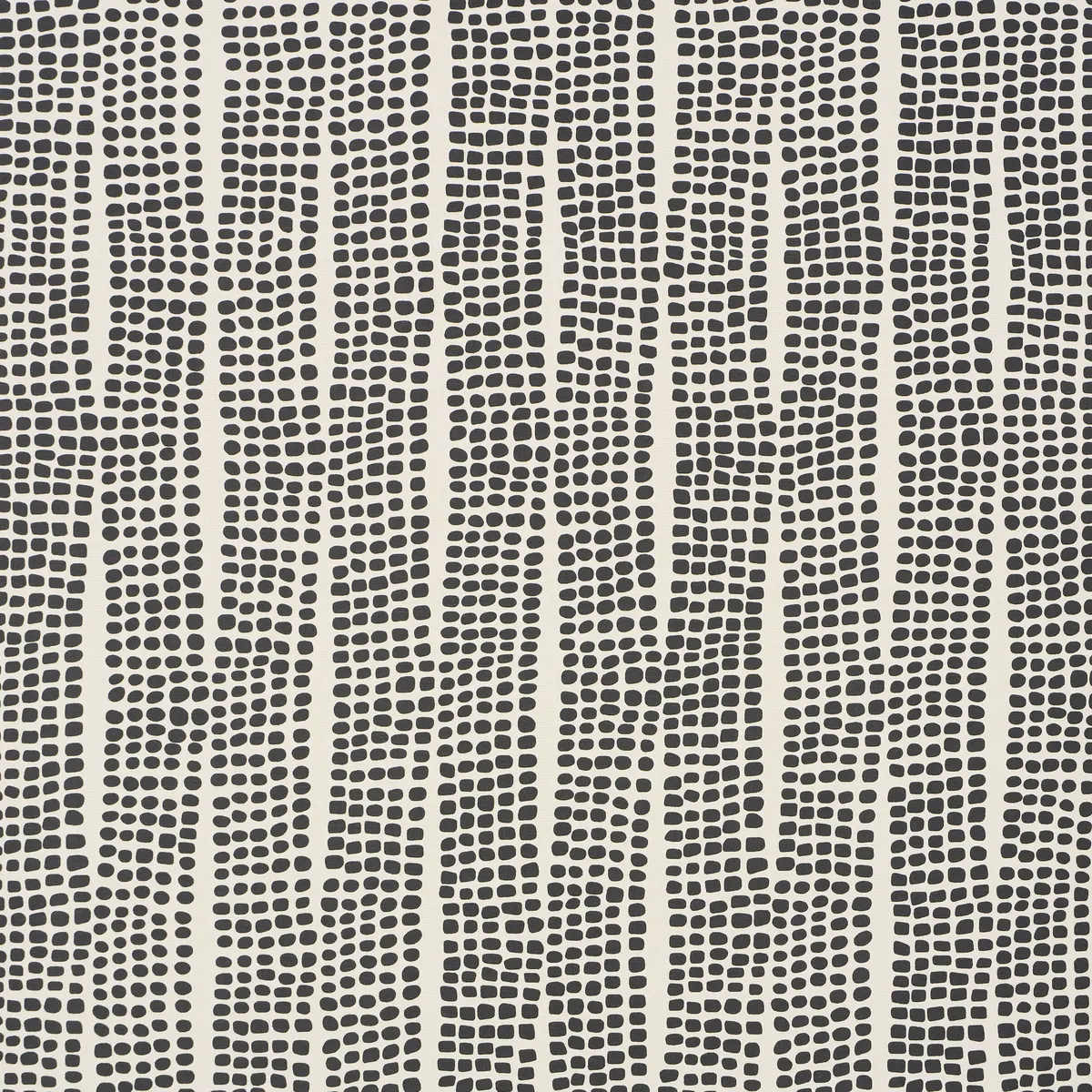 NOLAND VINYL_ CARBON