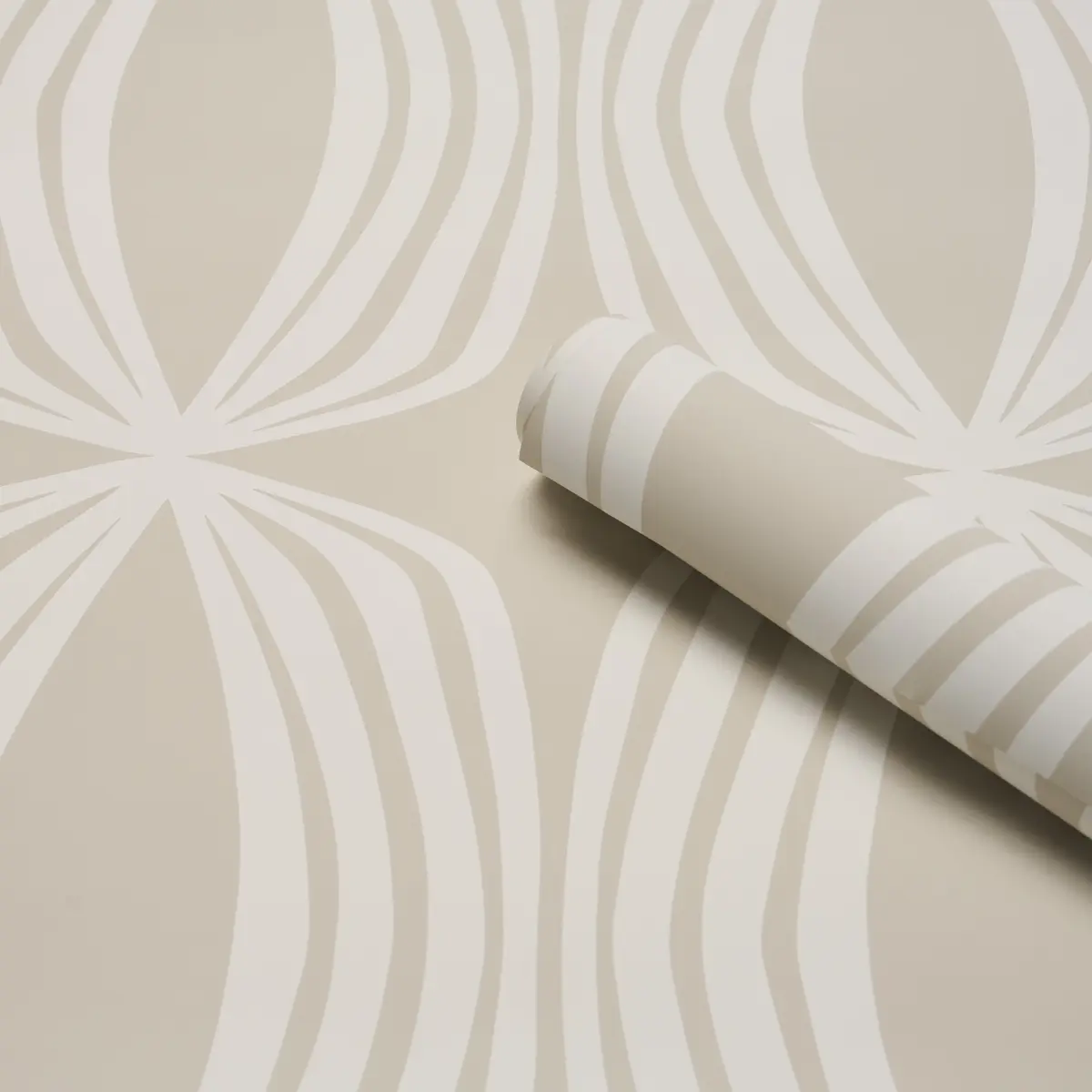 FONTANA_ BIRCH