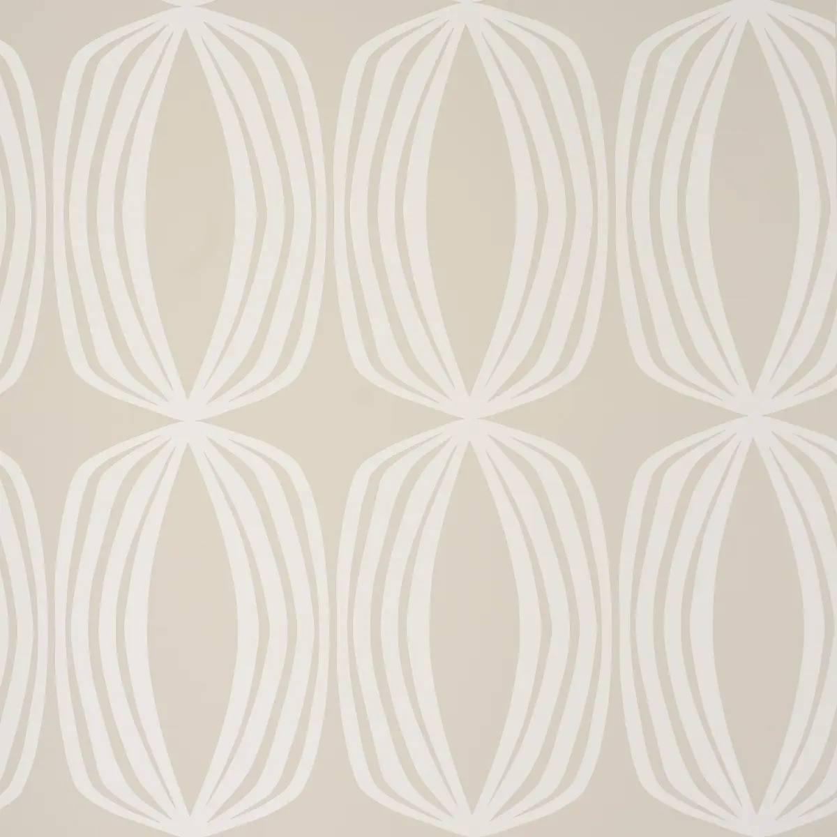 FONTANA_ BIRCH