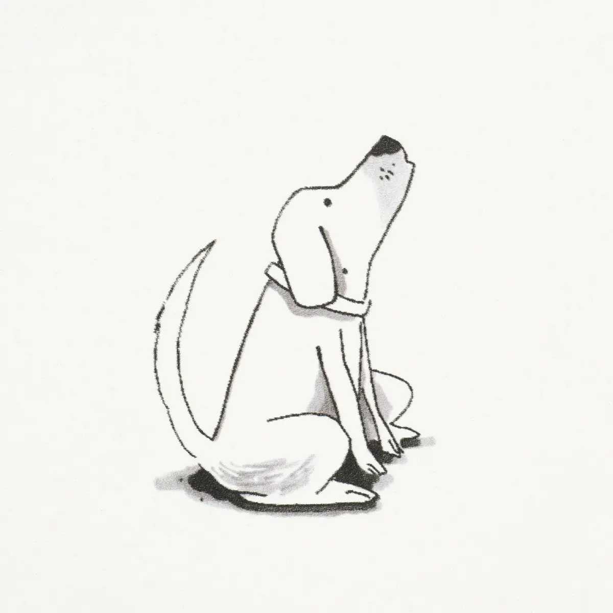 Good Dogs Everywhere_ BLACK & WHITE