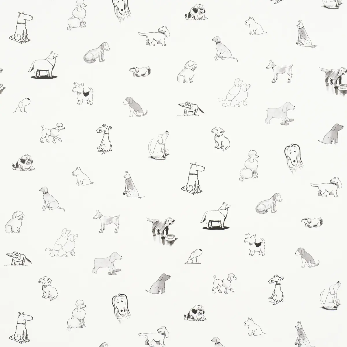 Good Dogs Everywhere_ BLACK & WHITE