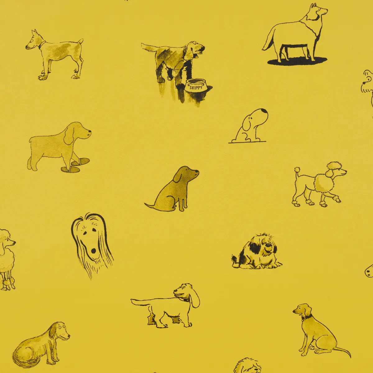 Good Dogs Everywhere_ TAXI-CAB YELLOW