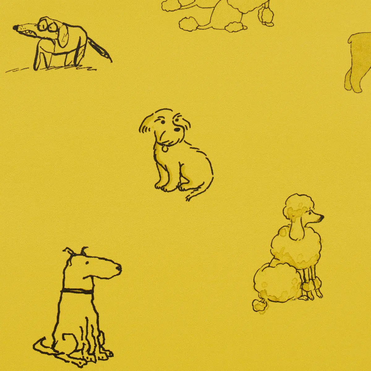 Good Dogs Everywhere_ TAXI-CAB YELLOW