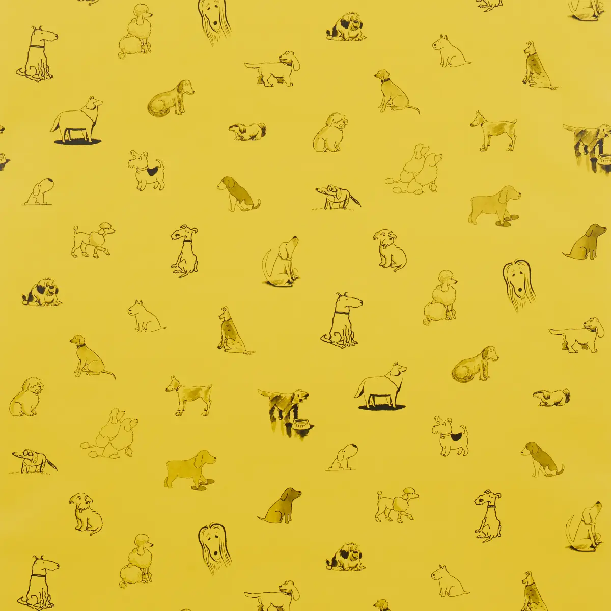 Good Dogs Everywhere_ TAXI-CAB YELLOW