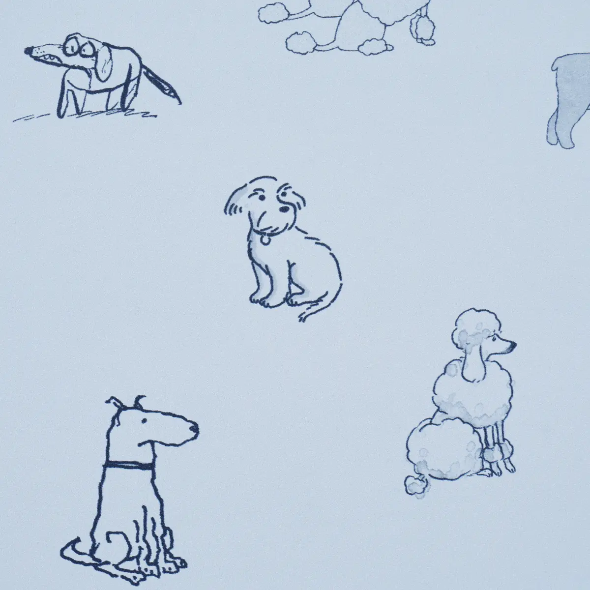 Good Dogs Everywhere_ SKY & NAVY BLUE