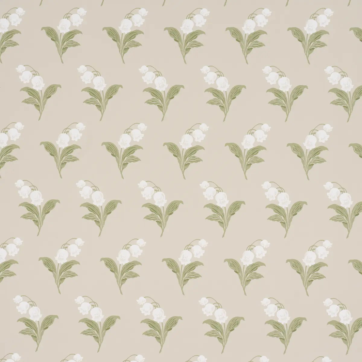 LILY OF THE VALLEY_ SPRING