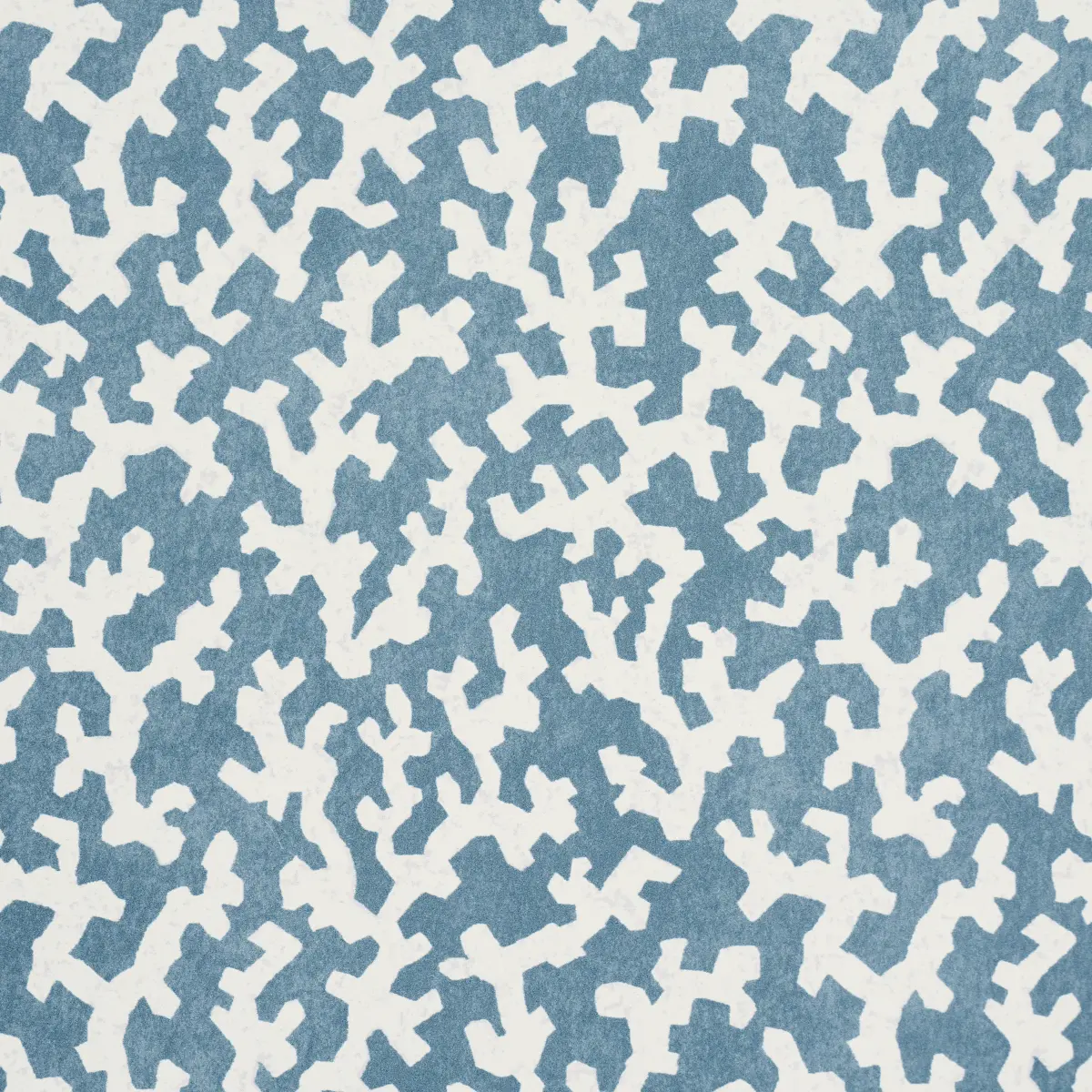 FOLLY_ MARINE