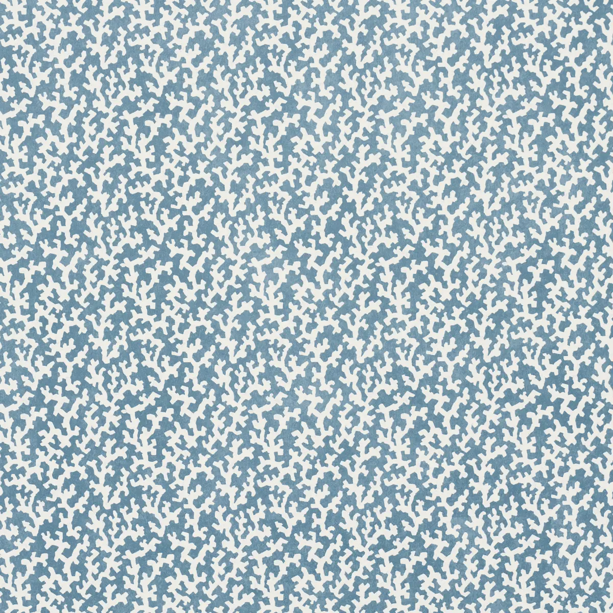 FOLLY_ MARINE