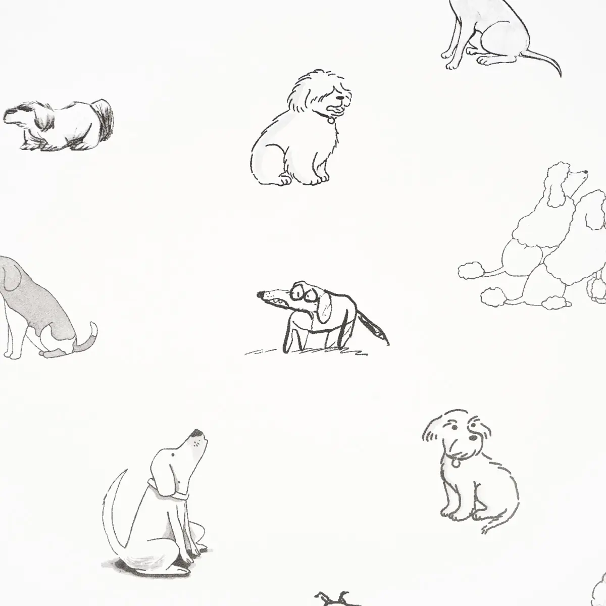 Good Dogs Everywhere_ BLACK & WHITE