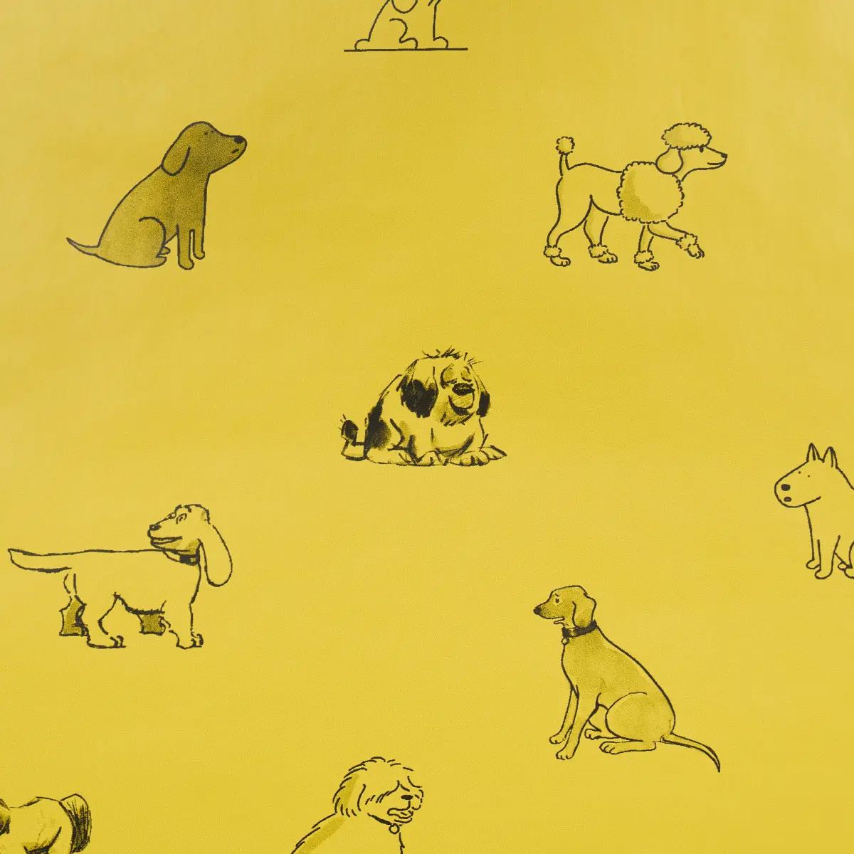 Good Dogs Everywhere_ TAXI-CAB YELLOW