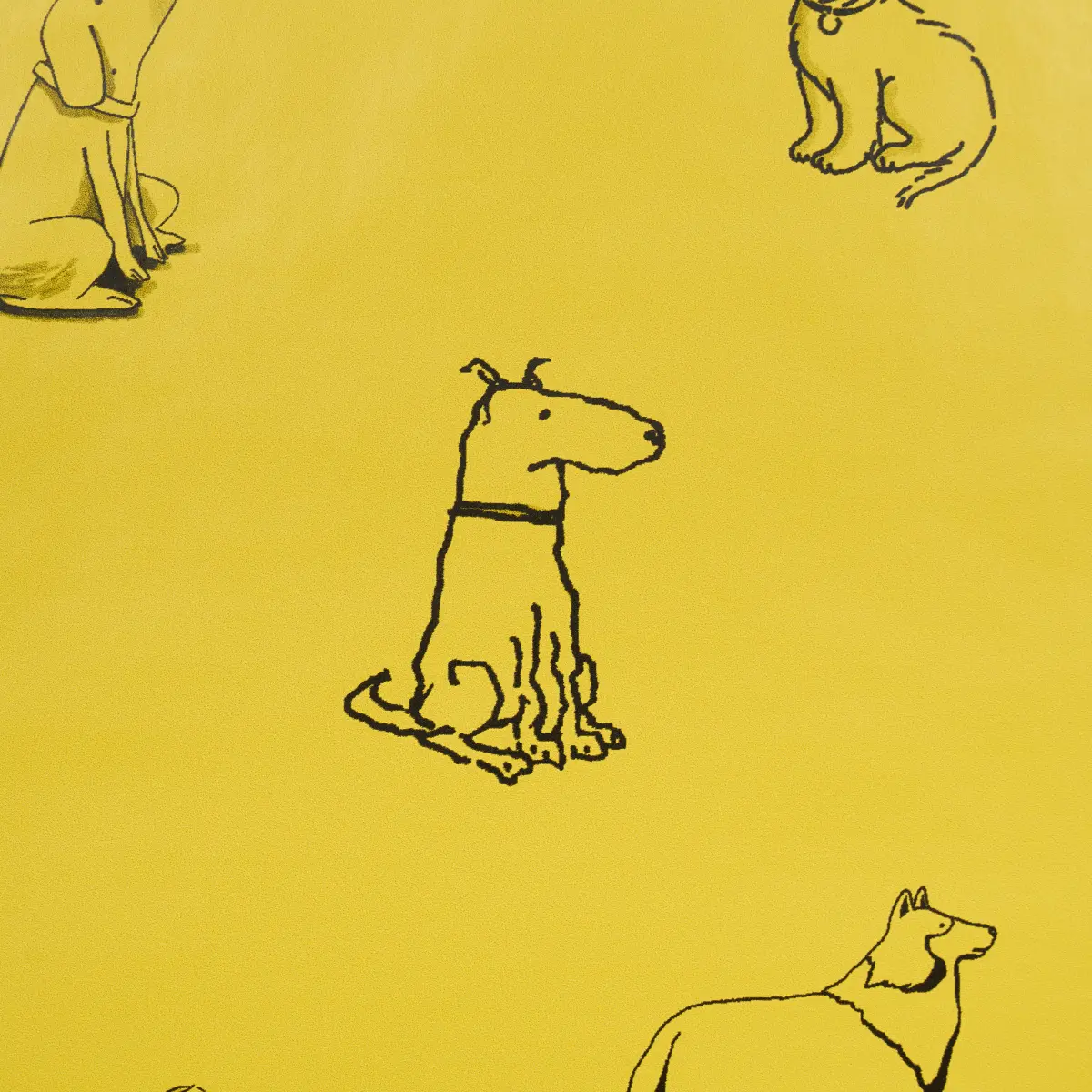 Good Dogs Everywhere_ TAXI-CAB YELLOW