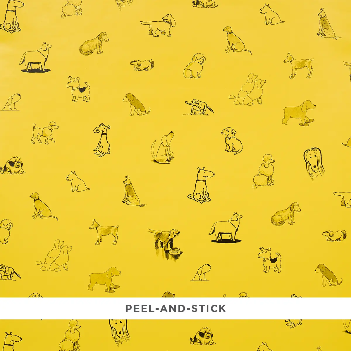Good Dogs Everywhere_ TAXI-CAB YELLOW
