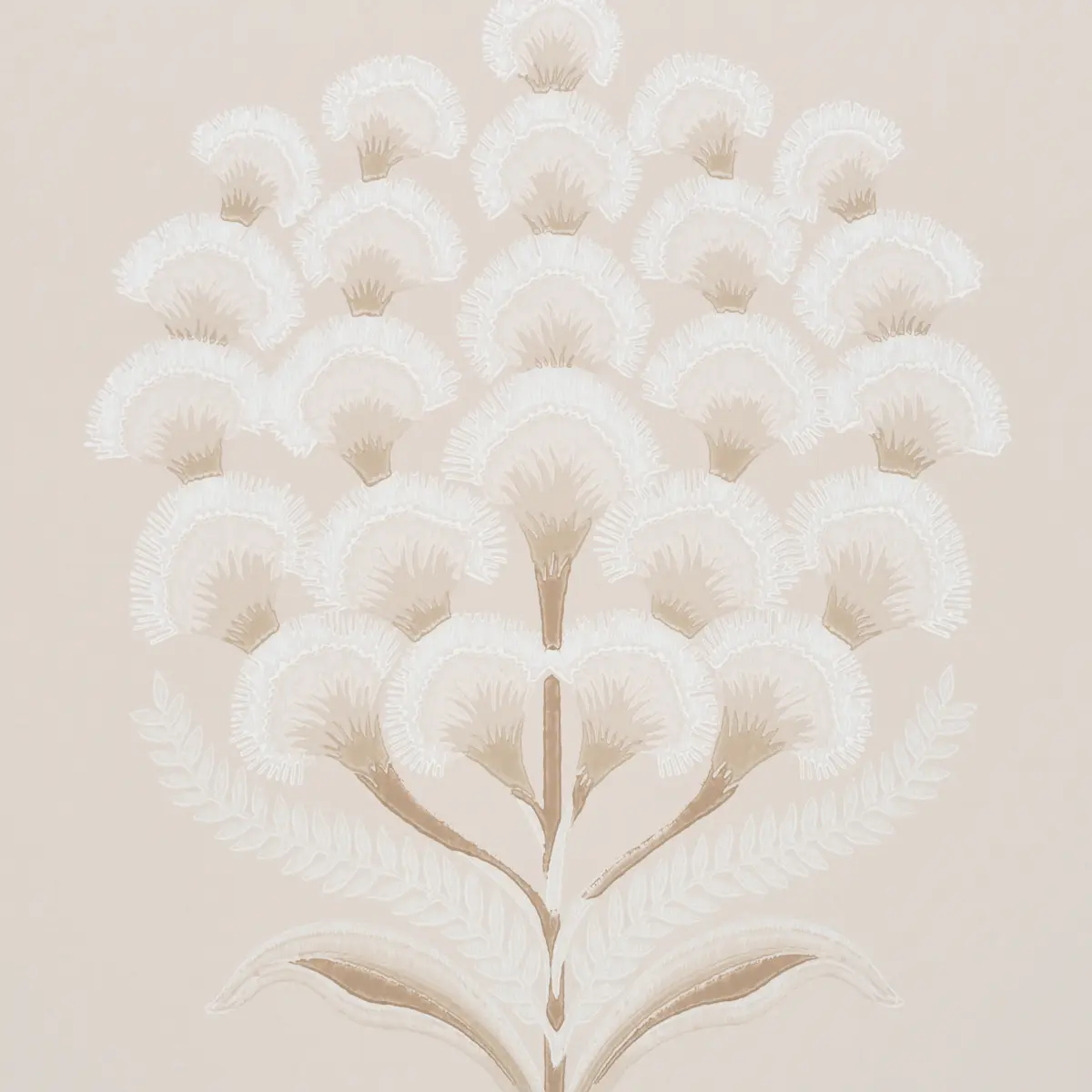Aurelia_ LIMESTONE