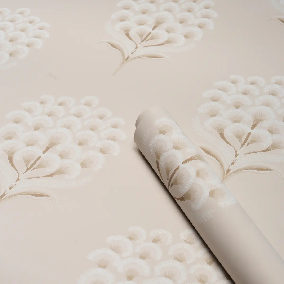 Aurelia_ LIMESTONE
