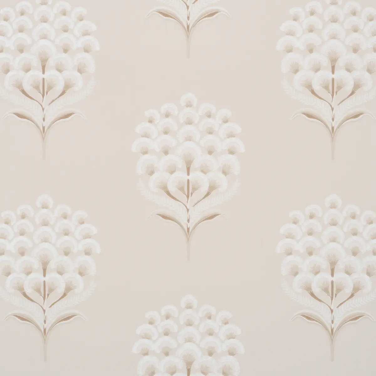 Aurelia_ LIMESTONE