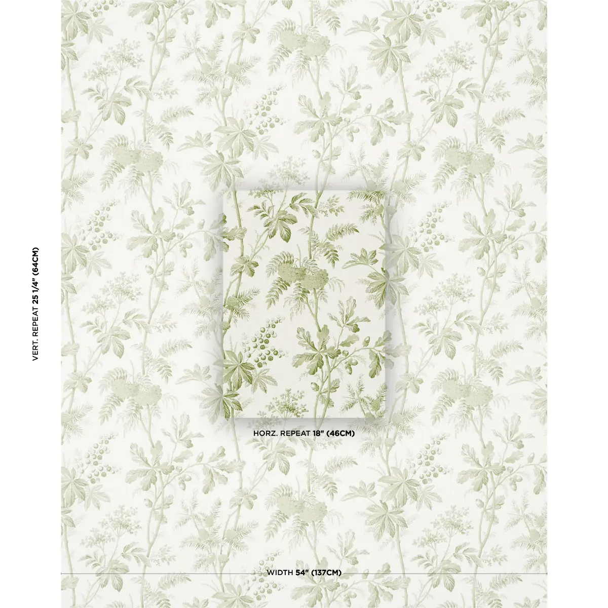 Brantwood Vine_ LEAF